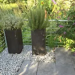 Bluetenweg Kluftern * פרידריכסהאפן