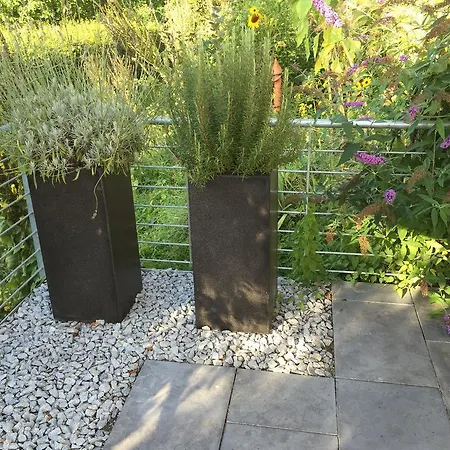 Blütenweg Kluftern * Friedrichshafen